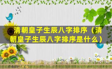 清朝皇子生辰八字排序（清朝皇子生辰八字排序是什么）