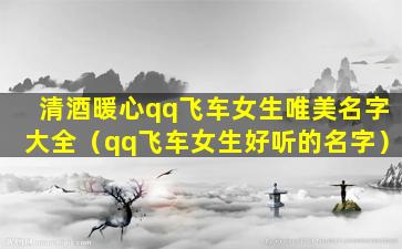 清酒暖心qq飞车女生唯美名字大全（qq飞车女生好听的名字）