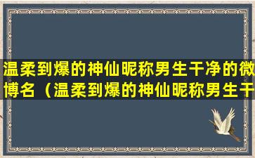 温柔到爆的神仙昵称男生干净的微博名（温柔到爆的神仙昵称男生干净的微博名字）