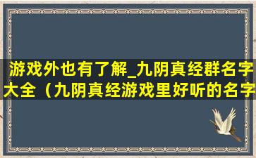 游戏外也有了解_九阴真经群名字大全（九阴真经游戏里好听的名字）