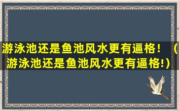 游泳池还是鱼池风水更有逼格！（游泳池还是鱼池风水更有逼格!）