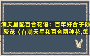 满天星配百合花语：百年好合子孙繁茂（有满天星和百合两种花,每人至少选一种）