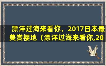 漂洋过海来看你，2017日本最美赏樱地（漂洋过海来看你,2017日本最美赏樱地）