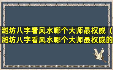 潍坊八字看风水哪个大师最权威（潍坊八字看风水哪个大师最权威的）