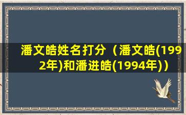 潘文皓姓名打分（潘文皓(1992年)和潘进皓(1994年)）