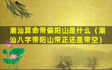 潮汕算命带偏阳山是什么（潮汕八字带阳山带正还是带空）