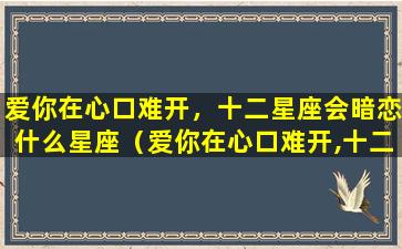 爱你在心口难开，十二星座会暗恋什么星座（爱你在心口难开,十二星座会暗恋什么星座）