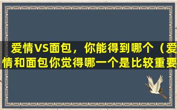 爱情VS面包，你能得到哪个（爱情和面包你觉得哪一个是比较重要辩论）