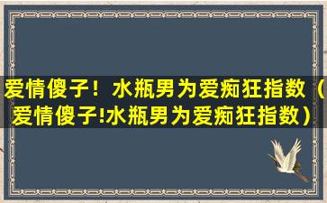 爱情傻子！水瓶男为爱痴狂指数（爱情傻子!水瓶男为爱痴狂指数）