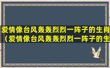 爱情像台风轰轰烈烈一阵子的生肖（爱情像台风轰轰烈烈一阵子的生肖是什么）