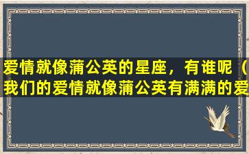 爱情就像蒲公英的星座，有谁呢（我们的爱情就像蒲公英有满满的爱意,都没有回忆）