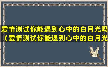 爱情测试你能遇到心中的白月光吗（爱情测试你能遇到心中的白月光吗什么意思）