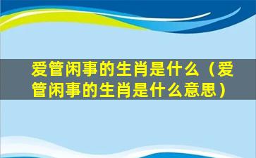 爱管闲事的生肖是什么（爱管闲事的生肖是什么意思）