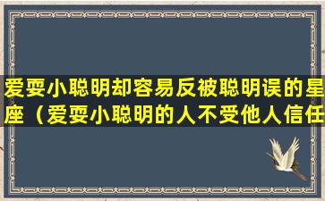 爱耍小聪明却容易反被聪明误的星座（爱耍小聪明的人不受他人信任）