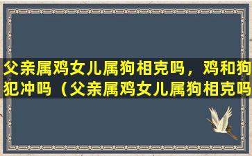 父亲属鸡女儿属狗相克吗，鸡和狗犯冲吗（父亲属鸡女儿属狗相克吗,鸡和狗犯冲吗）