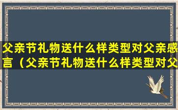 父亲节礼物送什么样类型对父亲感言（父亲节礼物送什么样类型对父亲感言最好）