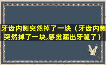 牙齿内侧突然掉了一块（牙齿内侧突然掉了一块,感觉漏出牙髓了）