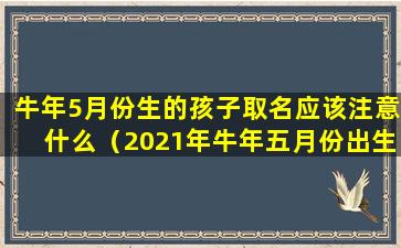 牛年5月份生的孩子取名应该注意什么（2021年牛年五月份出生宝宝取名大全）