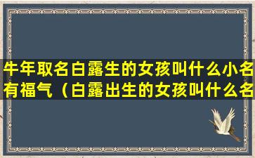 牛年取名白露生的女孩叫什么小名有福气（白露出生的女孩叫什么名字好叠字）