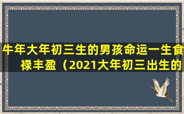 牛年大年初三生的男孩命运一生食禄丰盈（2021大年初三出生的牛宝宝）