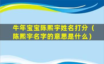 牛年宝宝陈熙宇姓名打分（陈熙宇名字的意思是什么）