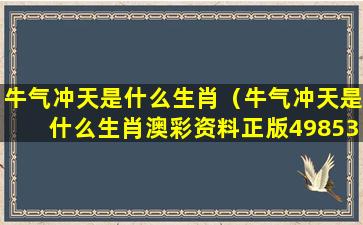 牛气冲天是什么生肖（牛气冲天是什么生肖澳彩资料正版49853牛）