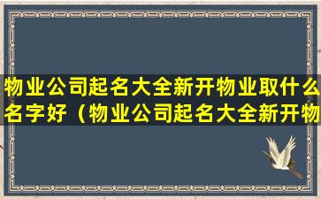 物业公司起名大全新开物业取什么名字好（物业公司起名大全新开物业取什么名字好呢）