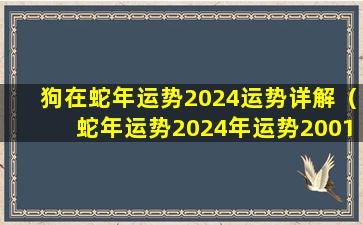 狗在蛇年运势2024运势详解（蛇年运势2024年运势2001年出生的）