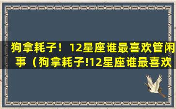 狗拿耗子！12星座谁最喜欢管闲事（狗拿耗子!12星座谁最喜欢管闲事）