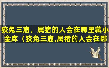 狡兔三窟，属猪的人会在哪里藏小金库（狡兔三窟,属猪的人会在哪里藏小金库）