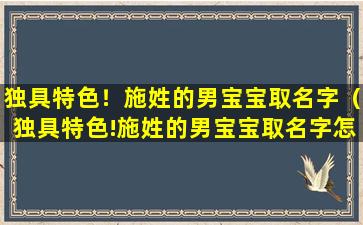 独具特色！施姓的男宝宝取名字（独具特色!施姓的男宝宝取名字怎么取）