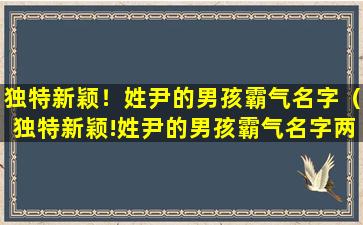 独特新颖！姓尹的男孩霸气名字（独特新颖!姓尹的男孩霸气名字两个字）