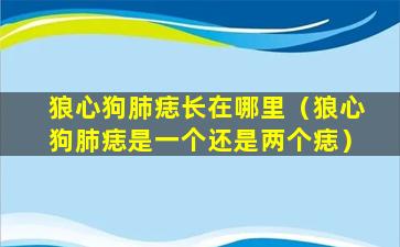 狼心狗肺痣长在哪里（狼心狗肺痣是一个还是两个痣）