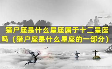 猎户座是什么星座属于十二星座吗（猎户座是什么星座的一部分）