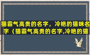 猫霸气高贵的名字，冷艳的猫咪名字（猫霸气高贵的名字,冷艳的猫咪名字是什么）