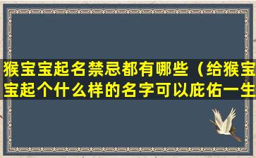 猴宝宝起名禁忌都有哪些（给猴宝宝起个什么样的名字可以庇佑一生）