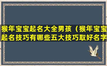 猴年宝宝起名大全男孩（猴年宝宝起名技巧有哪些五大技巧取好名字）