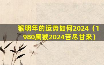 猴明年的运势如何2024（1980属猴2024苦尽甘来）