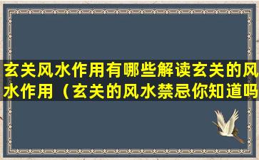 玄关风水作用有哪些解读玄关的风水作用（玄关的风水禁忌你知道吗不注意这些当心越住越穷）