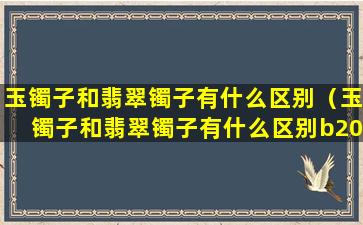 玉镯子和翡翠镯子有什么区别（玉镯子和翡翠镯子有什么区别b2012215263）