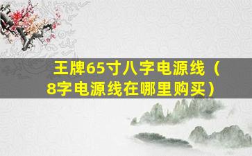 王牌65寸八字电源线（8字电源线在哪里购买）