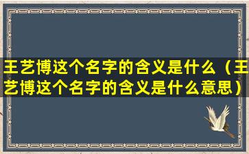 王艺博这个名字的含义是什么（王艺博这个名字的含义是什么意思）