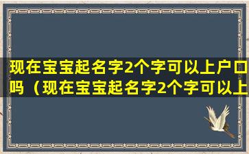 现在宝宝起名字2个字可以上户口吗（现在宝宝起名字2个字可以上户口吗怎么办）