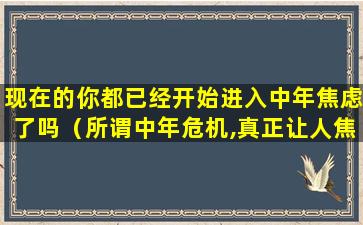 现在的你都已经开始进入中年焦虑了吗（所谓中年危机,真正让人焦虑的）