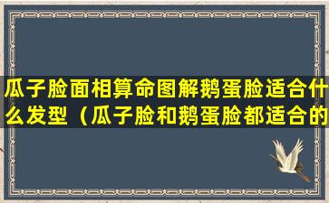 瓜子脸面相算命图解鹅蛋脸适合什么发型（瓜子脸和鹅蛋脸都适合的发型）