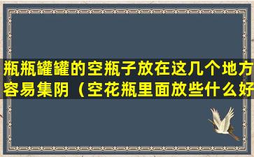 瓶瓶罐罐的空瓶子放在这几个地方容易集阴（空花瓶里面放些什么好呢）