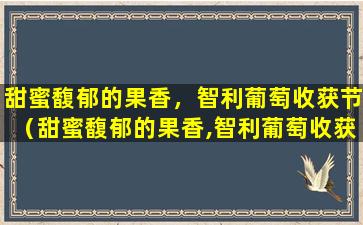 甜蜜馥郁的果香，智利葡萄收获节（甜蜜馥郁的果香,智利葡萄收获节）