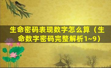 生命密码表现数字怎么算（生命数字密码完整解析1~9）