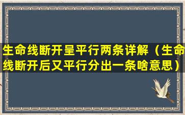 生命线断开呈平行两条详解（生命线断开后又平行分出一条啥意思）