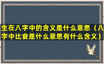 生在八字中的含义是什么意思（八字中比食是什么意思有什么含义）